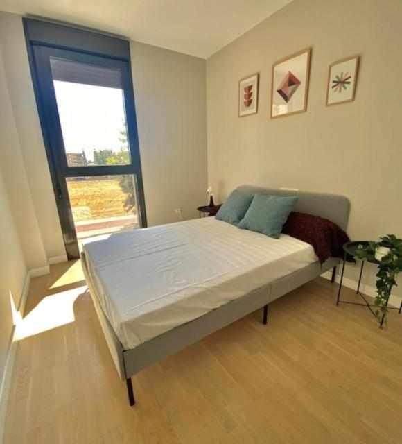 Gran Apartamento Laronda Apartment Cordoba Ngoại thất bức ảnh